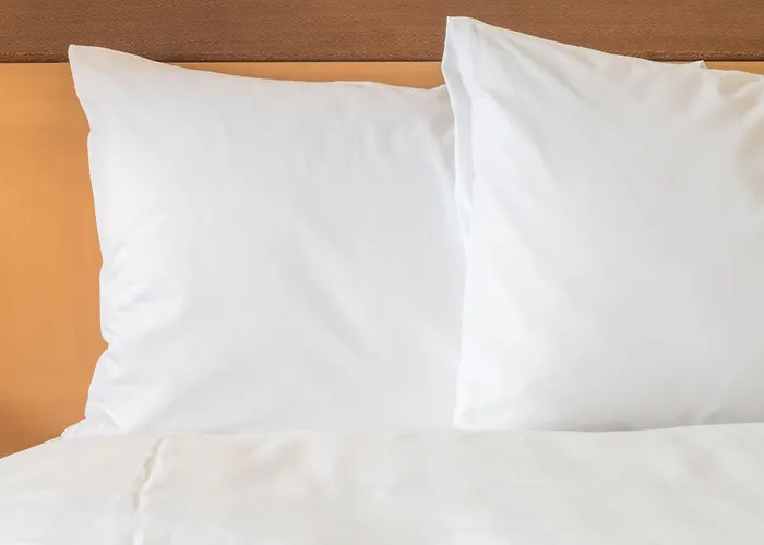 Express - Paris - Cdg Airport By Ihg Roissy-en-France